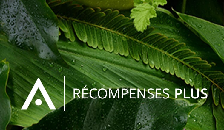 Inscrivez-vous au programme Récompenses Aveda+