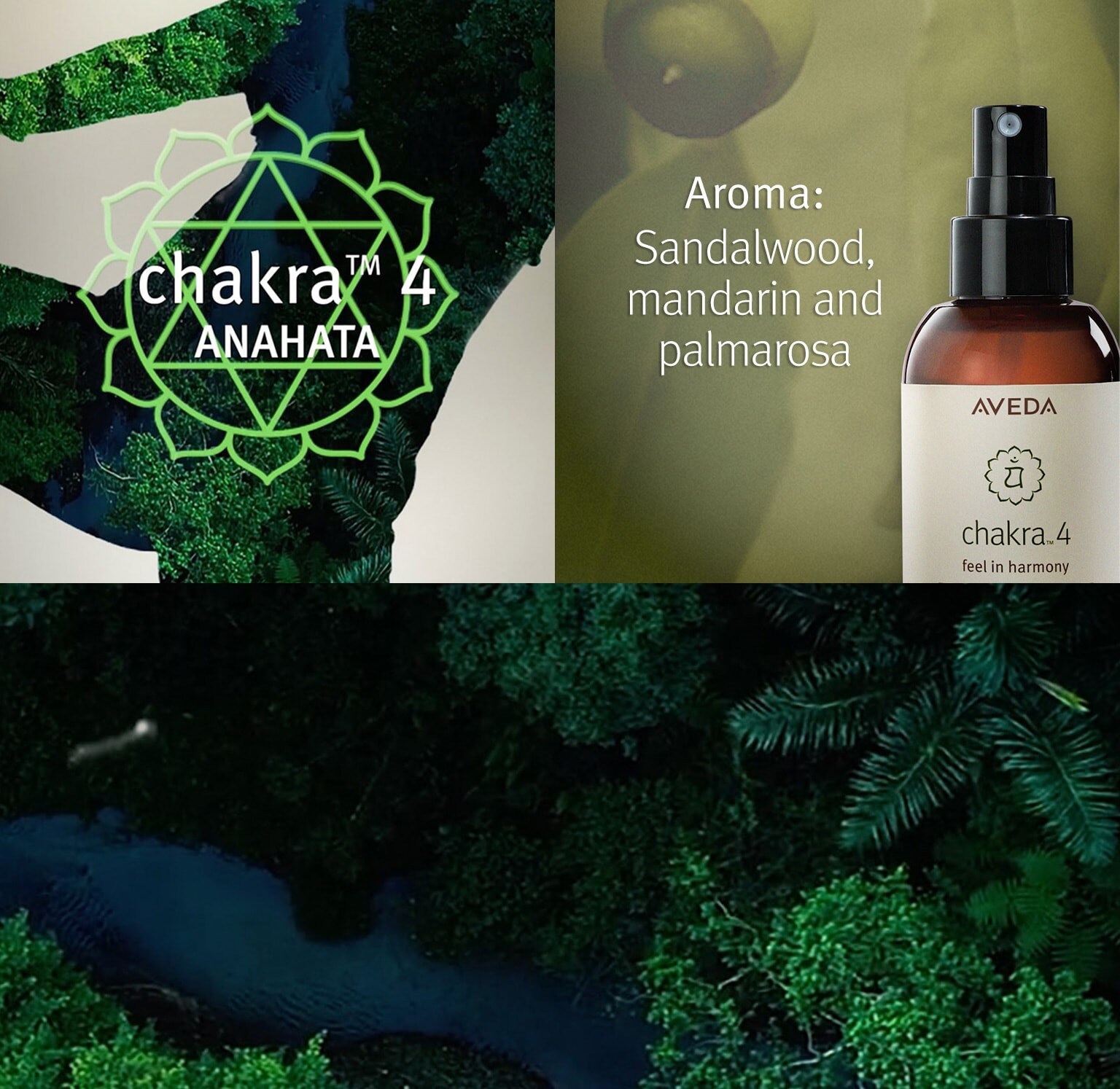 L’arôme chakra 4 est composé de bois de santal, de mandarine et de palmarosa