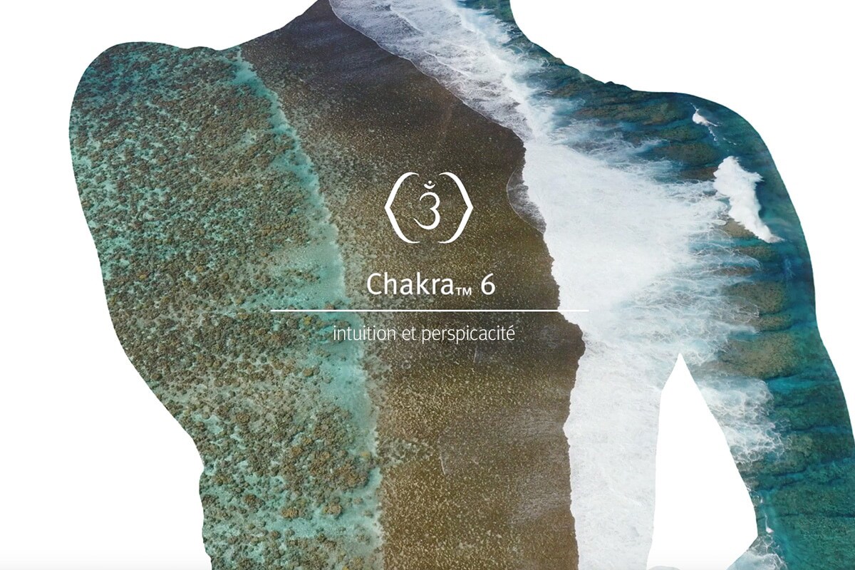 Écoutez cette méditation et vaporisez le mélange Chakra 6 pour améliorer votre expérience.