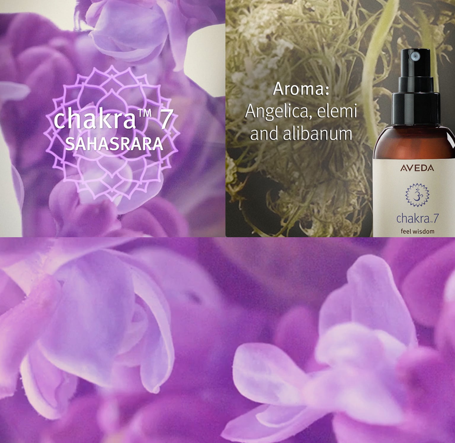 L’arôme chakra 7 se compose d’angélique, d’élémi et d’encens