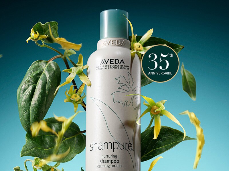 Apprenez-en plus sur la collection de cadeaux des Fêtes 2024 d’Aveda avec le créateur de mode Joseph Altuzarra