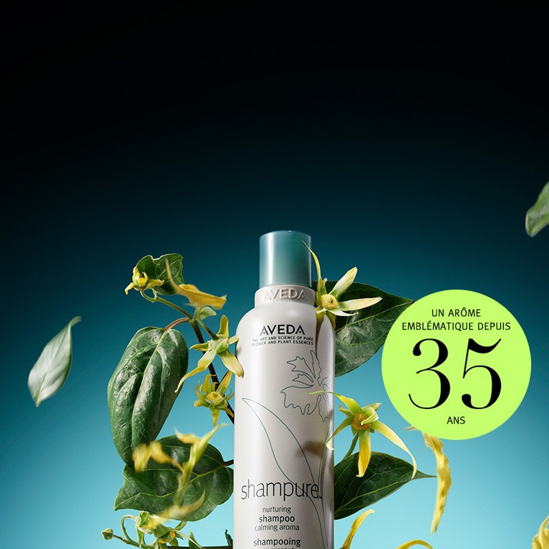 Magasinez les produits capillaires et les soins du corps shampure formulés avec notre arôme apaisant prisé
