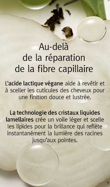 traitement éclair de renforcement des liaisons botanical repair<span class="trade">™</span>