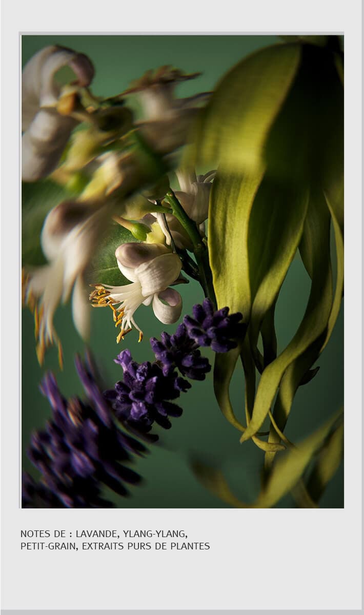 concentré haute brillance pour les cheveux à l’huile miraculeuse