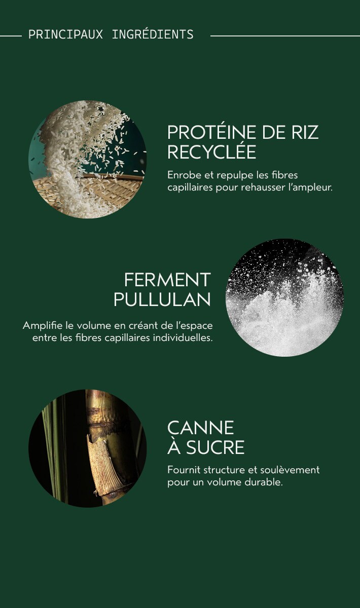 Vaporisateur volume d’ensemble Abundant Blowout