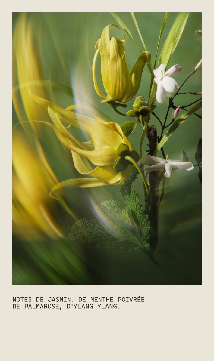 Base de coiffage volumateur Pure Abundance™