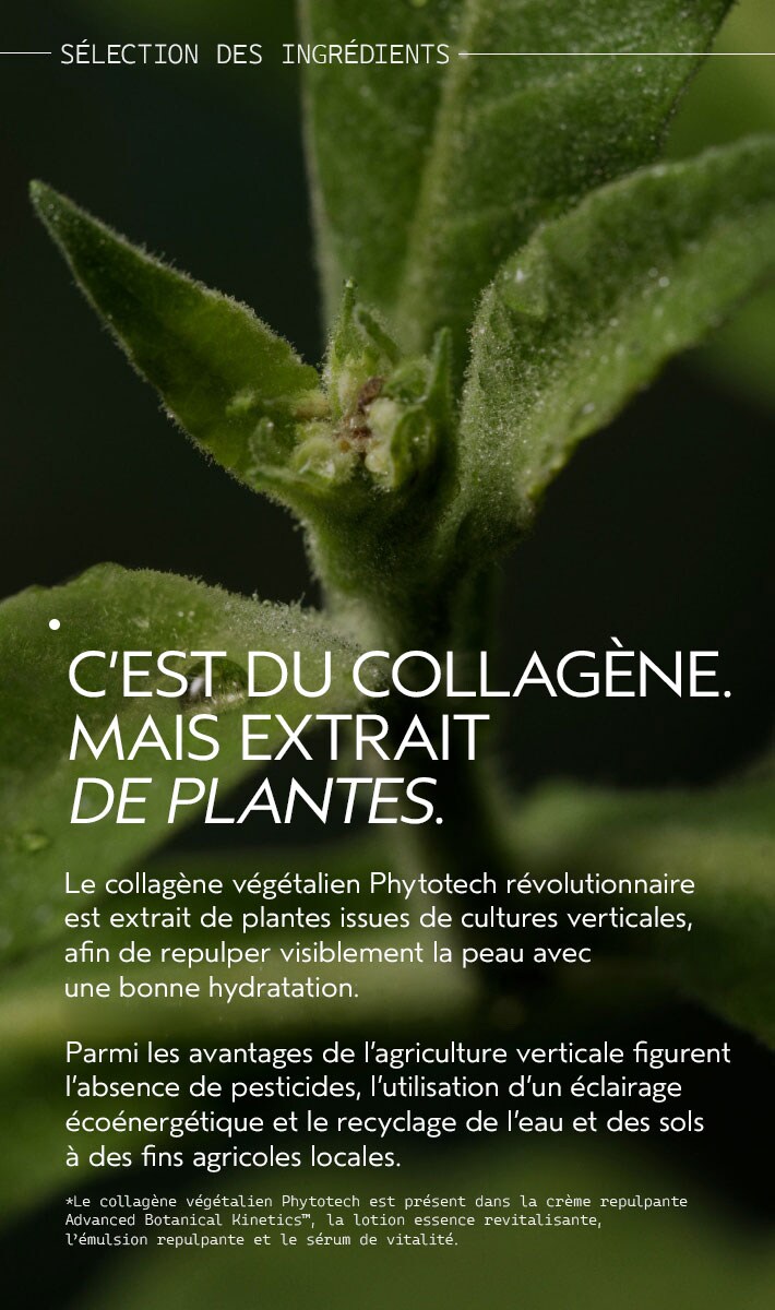 Lotion laiteuse repulpante Advanced Botanical Kinetics™