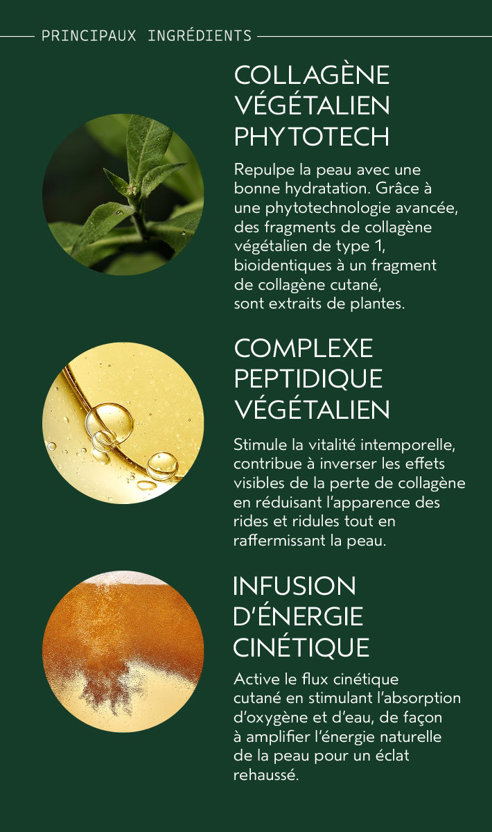 Crème repulpante Advanced Botanical Kinetics™, 50 ml