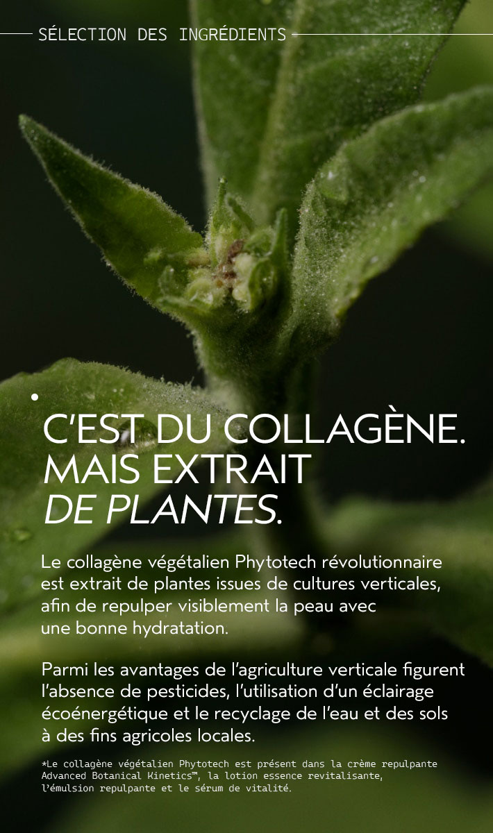 Crème repulpante Advanced Botanical Kinetics™, 50 ml