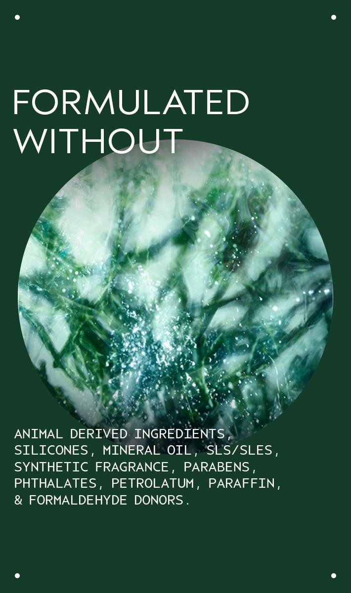 exfoliant botanical kinetics<span class="trade">™</span> 
