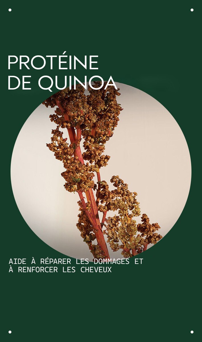 après-shampooing restructurant damage remedy<span class="trade">™</span>