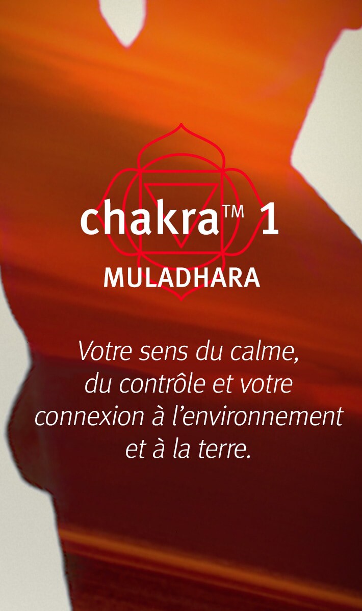 brume équilibrante ancrage pure-fume<span class="trade">™</span> chakra<span class="trade">™</span> 1