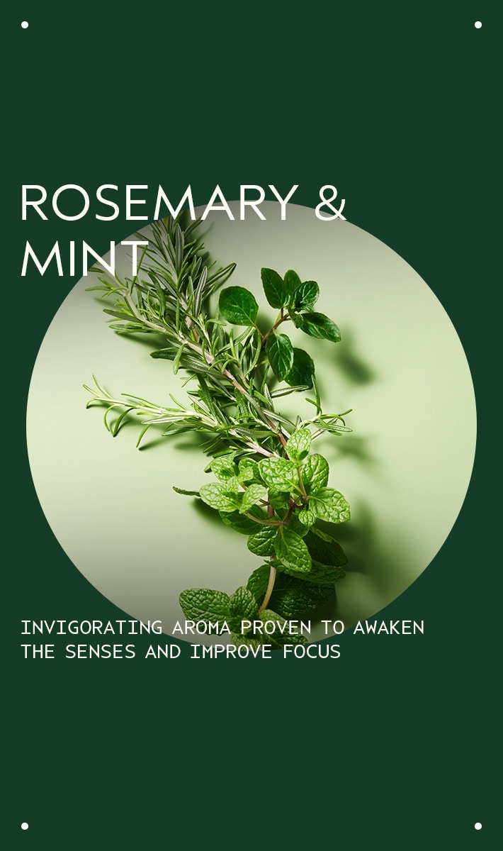 pain de savon rosemary mint