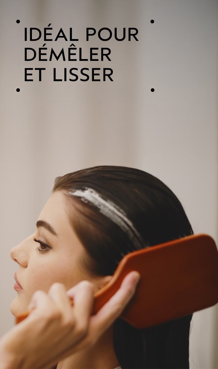 Brosse plate en bois Aveda