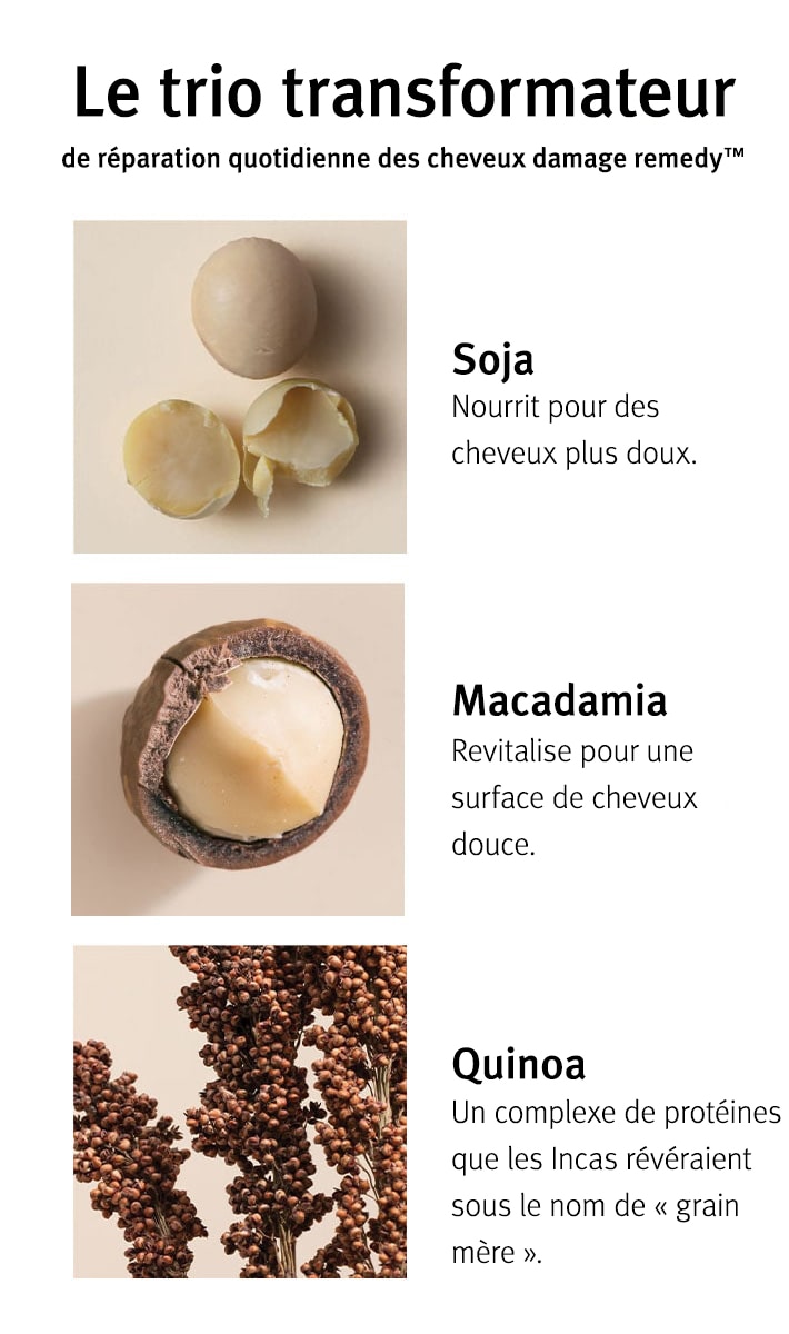 réparation journalière des cheveux damage remedy<span class="trade">™</span>