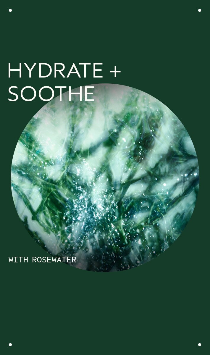 masque intensément hydratant botanical kinetics<span class="trade">™</span>