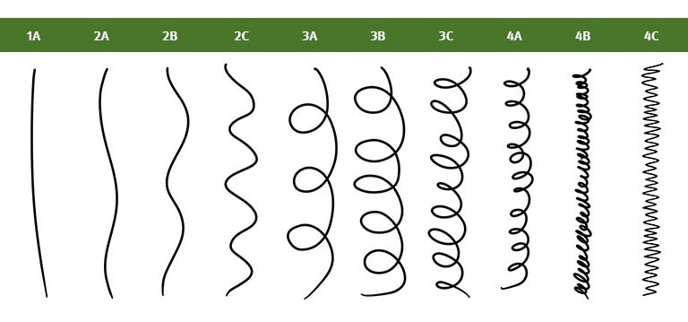 Tableau des cheveux 