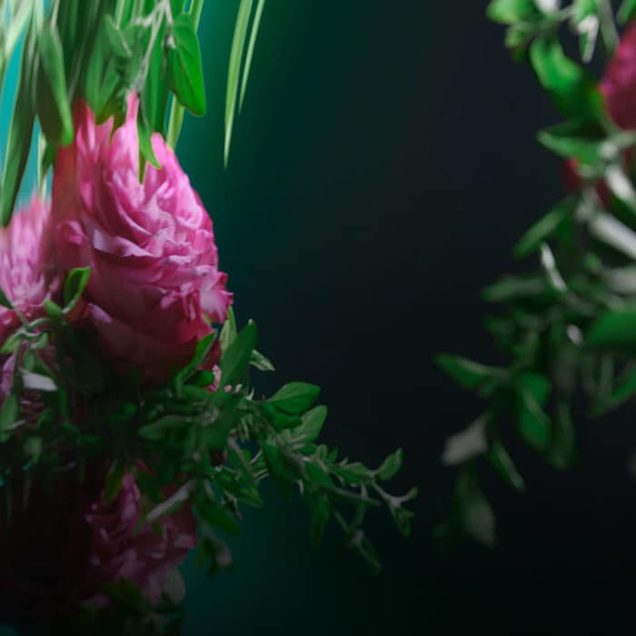 Imprégnez vos cheveux de Botanical Repair Pure Fume