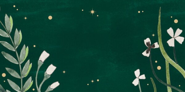 Magasiner les meilleurs cadeaux d’Aveda à moins de 55 $