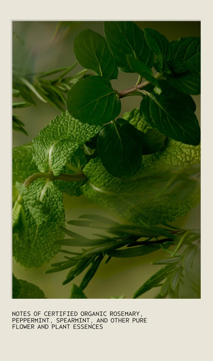 Gift of Clarity Ensemble bain et corps Rosemary Mint