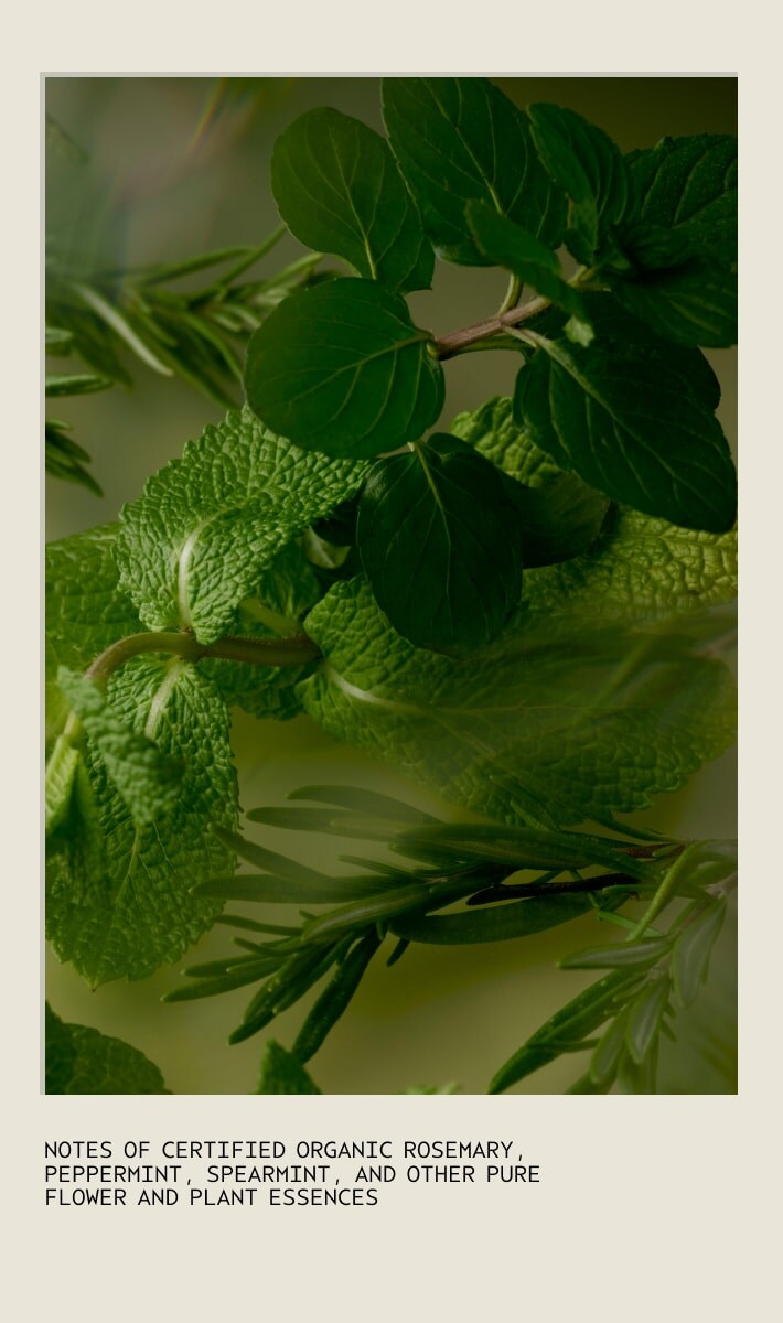 Gift of Awakening Ensemble soins du corps Rosemary Mint