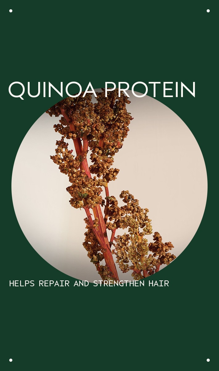 shampooing restructurant damage remedy<span class="trade">™</span>