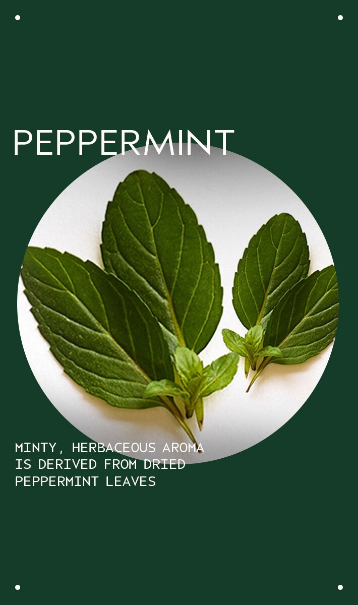 huile essentielle + base à la menthe poivrée
