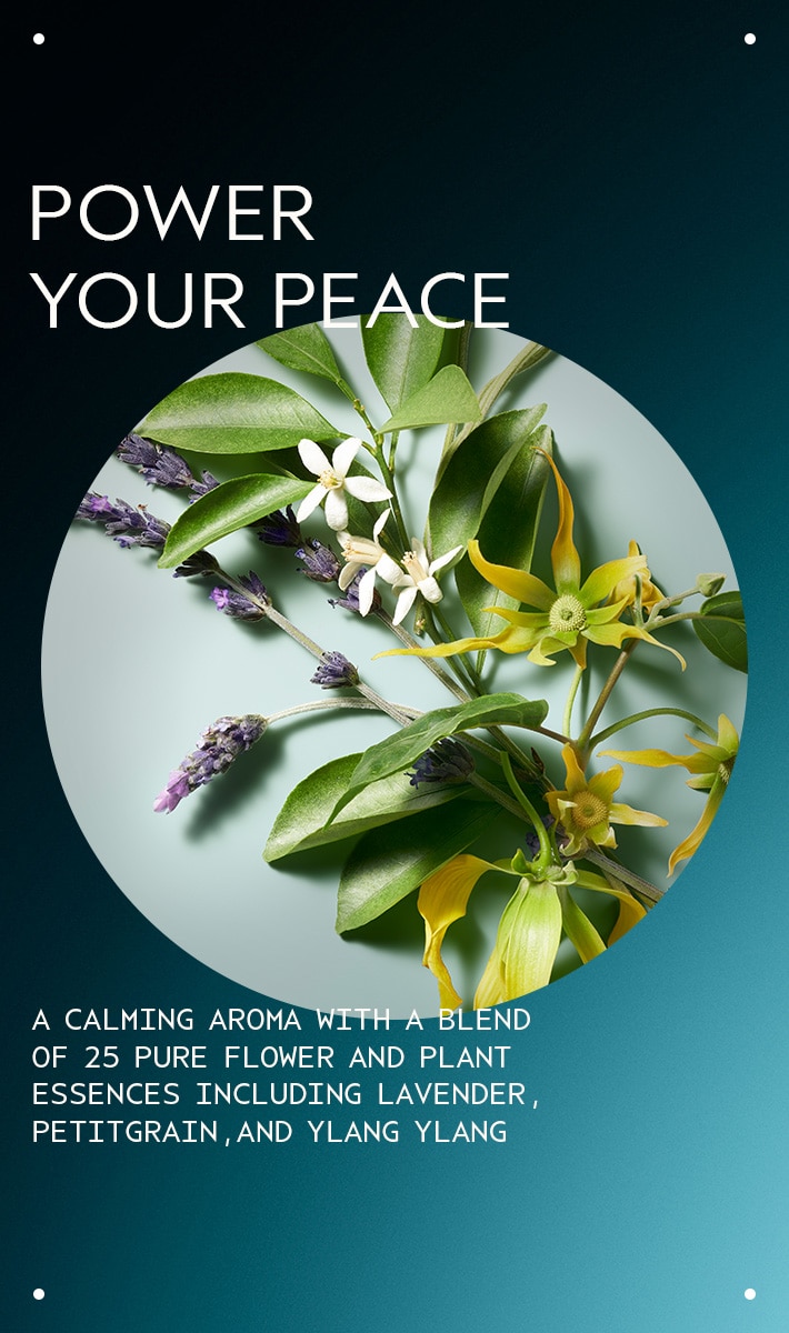 shampoing sec shampowder<span class="trade">™</span>, 2 oz liq./56 g